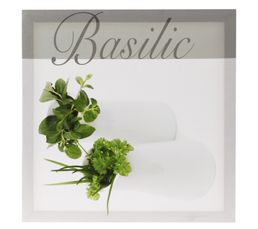 Toiles - Toile 40X40 BASILIC