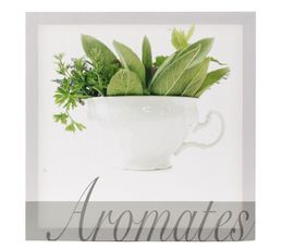Toiles - Toile 40X40 AROMATES
