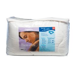 Couettes Et Oreillers - Couette 240 x 260 cm DREAMEA ANTI-TACHES