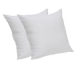 Lot de  2 Oreillers 60x60 cm DREAMEA CONFORT
