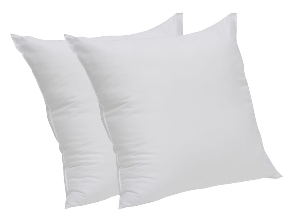 Lot de  2 Oreillers 60x60 cm DREAMEA CONFORT