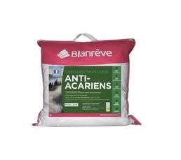 2 Oreillers 60 x 60 cm DREAMEA SANTE