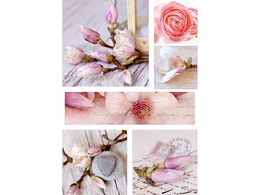 Toiles - Set de 6 toiles 60X85 DOUCEUR Rose/Blanc