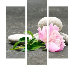 Toiles - Set de 3 toiles 90X100 PIVOINE Gris/Rose
