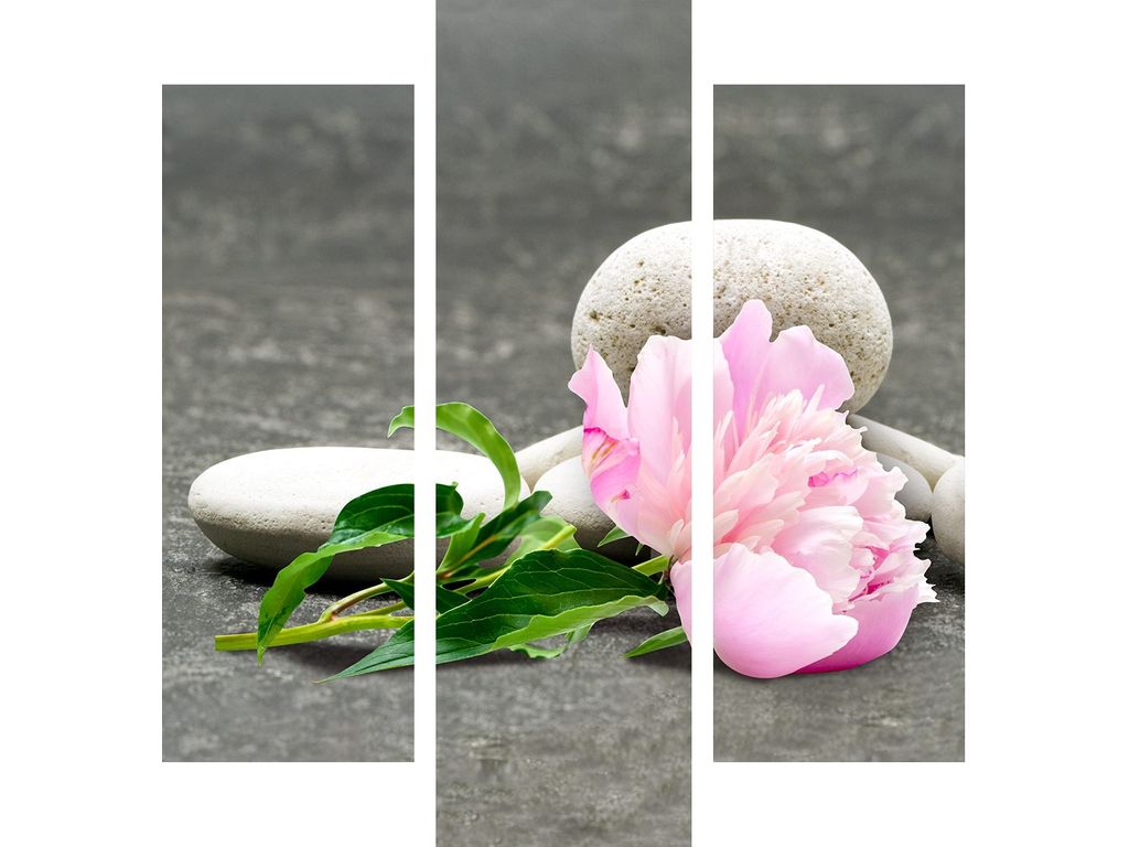 Toiles - Set de 3 toiles 90X100 PIVOINE Gris/Rose