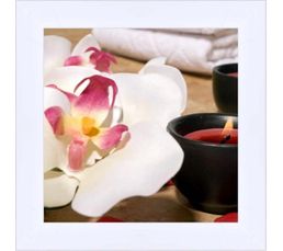 Photographies - Image encadr�e 14X14 ZEN FLEURS BAIN Blanc