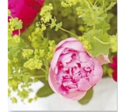 Toile 30X30 PIVOINE ZOOM