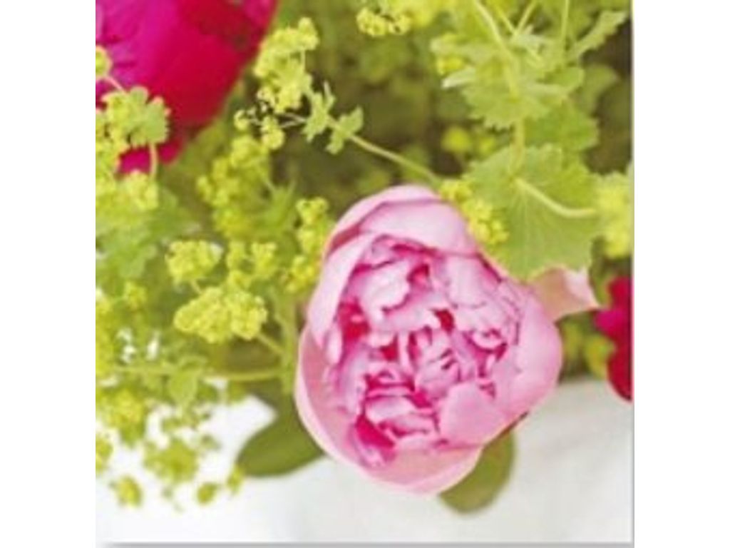 Photographies - Toile 30X30 PIVOINE ZOOM