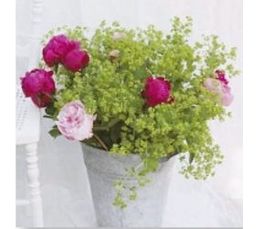 Toile 30X30 PIVOINE VASE