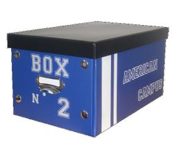 Bo�te cartonn�e CAMPUS 30 x 16 x 20 cm