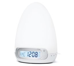 Radio r�veil Lumineux MUSE ML-30CR
