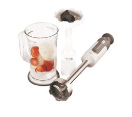 Mixeur KENWOOD HBM713P
