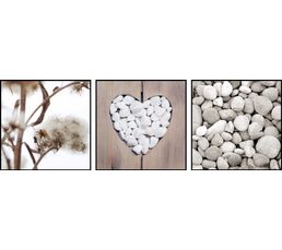 Photographies - Set de 3 Box Art 20X20 NATURE 40-289