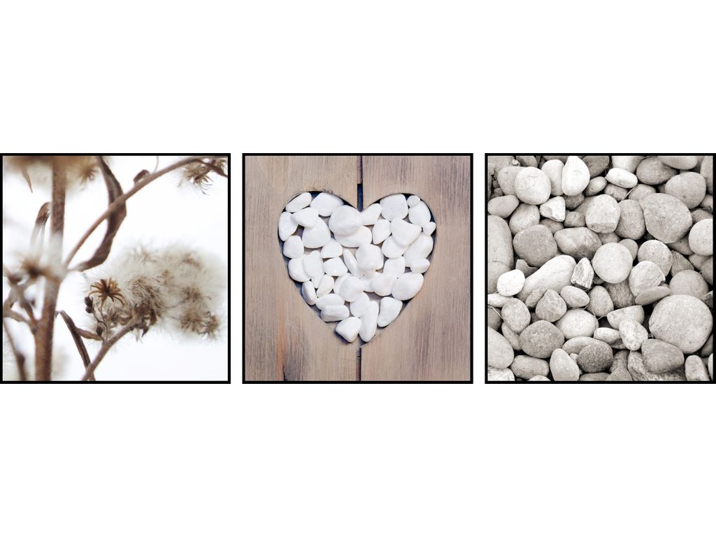 Photographies - Set de 3 Box Art 20X20 NATURE 40-289