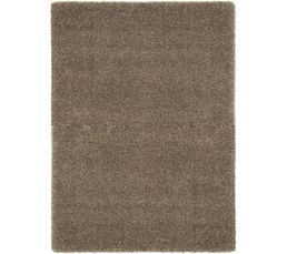 Tapis - Tapis 120 x 170 cm KING SHAGGY 7001/97 Taupe
